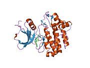 2of4: crystal structure of furanopyrimidine 1 bound to lck