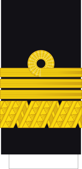 File:Poland-Navy-OF-8.svg