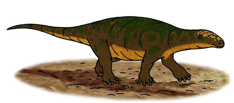 File:Propanoplosaurus restoration.png