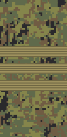 File:Russia-Army-OR-5-camo (2010).svg