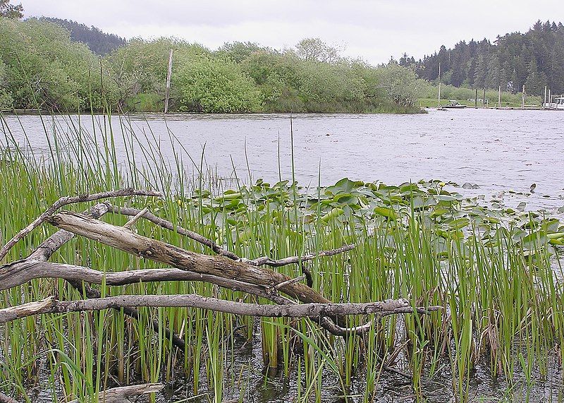 File:Tenmile Lake (Oregon).jpg