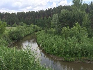 Big Cheremshanka River in Zudilovo, Altai Krai