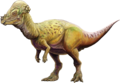 Pachycephalosaurus wyomingensis