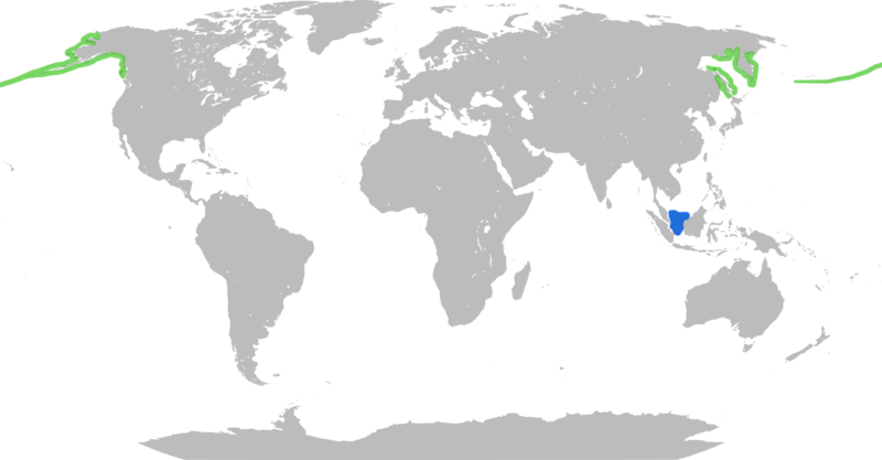 File:Aleutian Tern Distribution.png