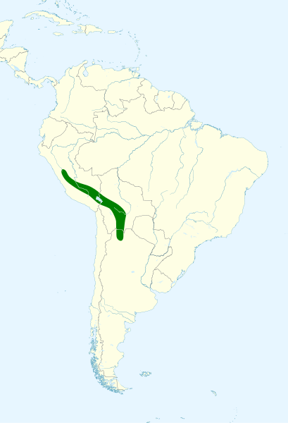 File:Anthus brevirostris map.svg