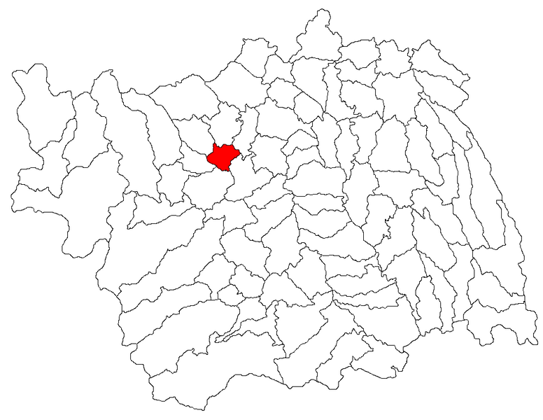 File:Ardeoani jud Bacau.png