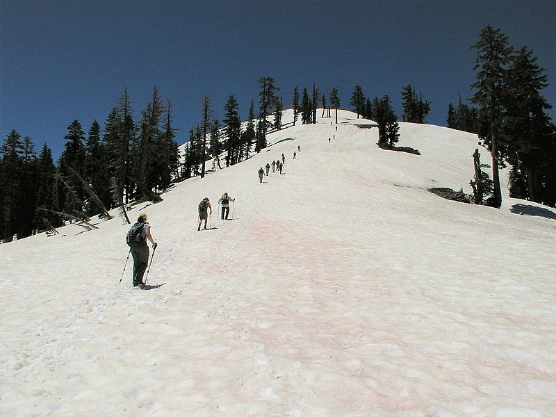 File:Ascending Mt. Judah.jpg