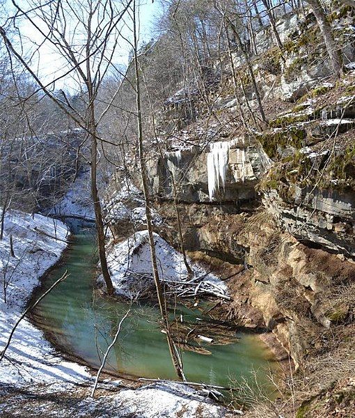 File:Cedar Sink.jpg