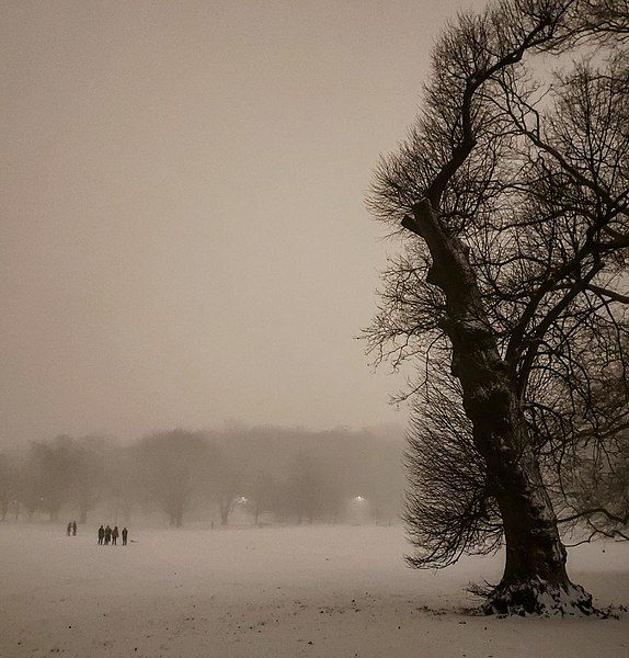 File:Evening Dog Walkers.jpg