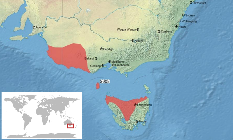 File:Geocrinia laevis map-fr.svg