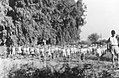 Palmach, 11th Company, doing morning exercises at Ginosar, 1947