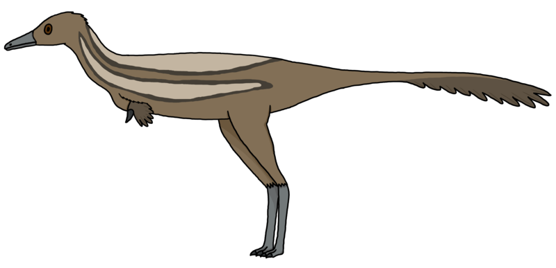 File:Heptasteornis.png