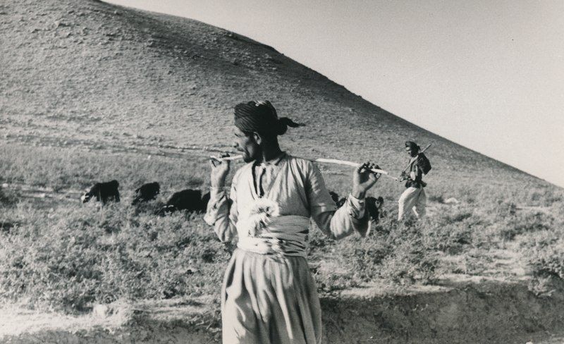 File:Iraqi Shepherd.tif