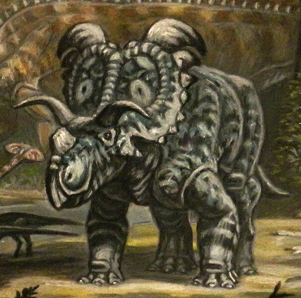 File:Medusaceratops (cropped).jpg