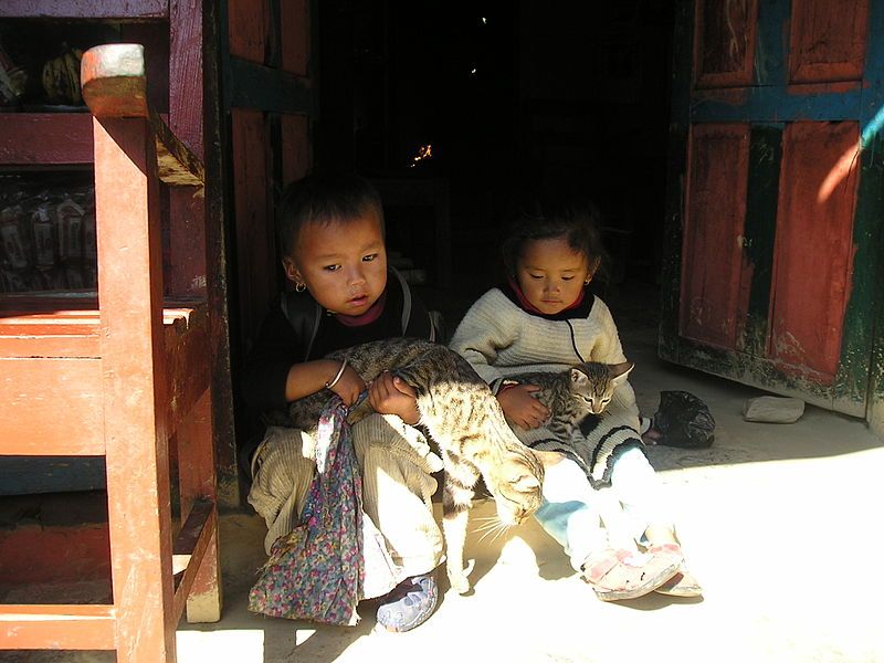 File:Nepalese-children-with-cats.jpg