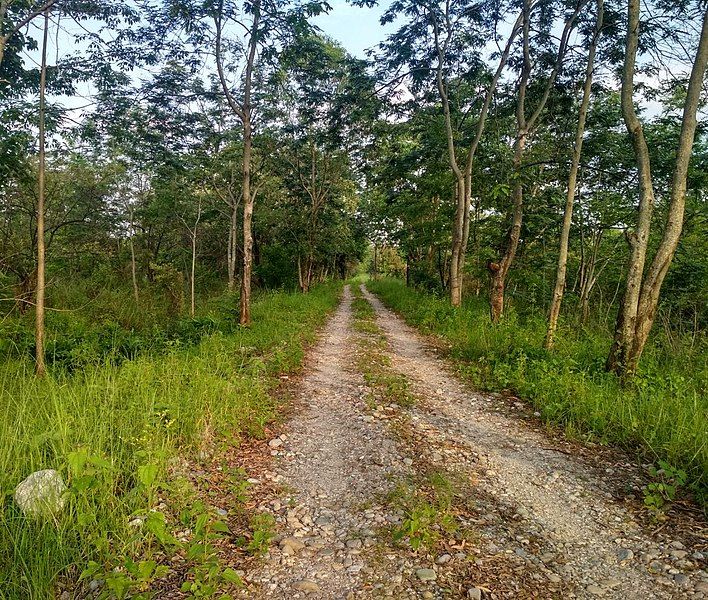 File:Road to gethsemane.jpg