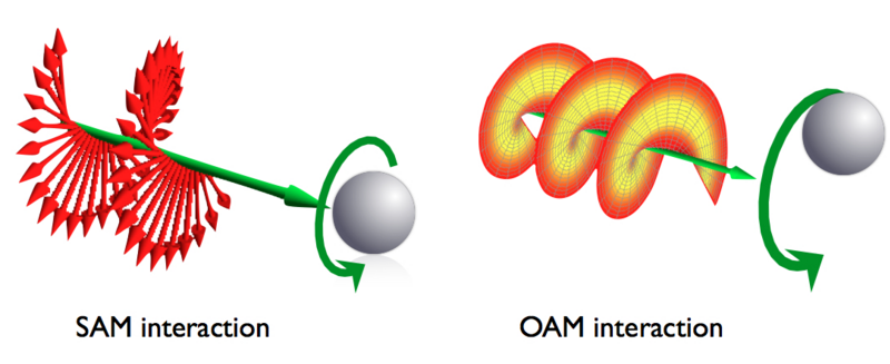 File:Sam-oam-interaction.png