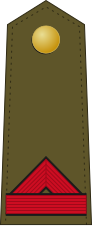 File:Spain-Army-OR-2.svg