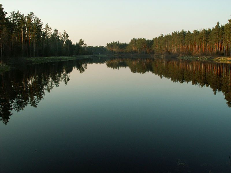 File:Szum-river-dam-Solska-Poland.jpg