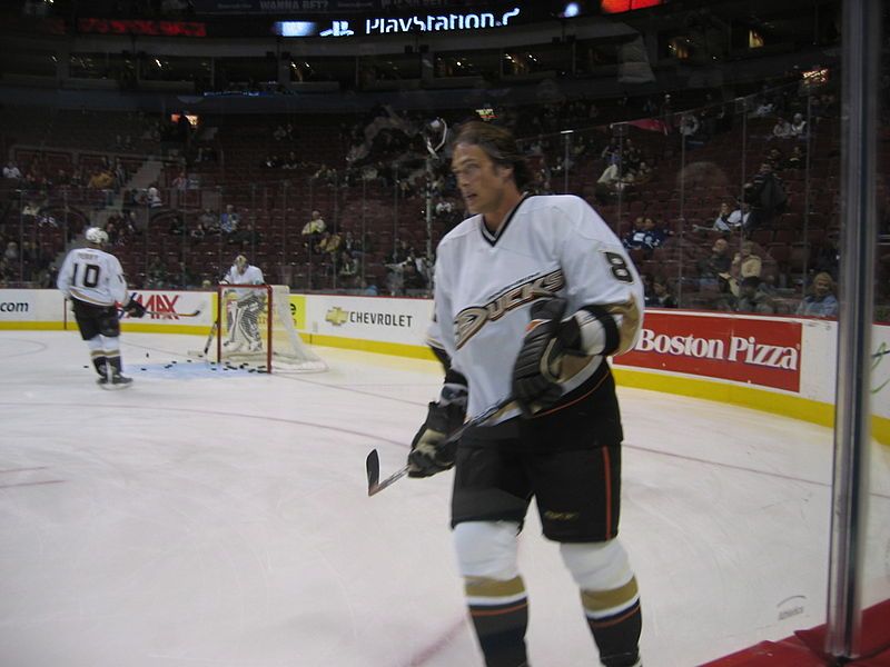 File:Teemu-ducks.jpg