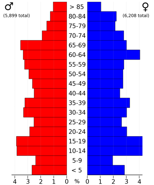 File:UnionCountyIA2022PopPyr.png