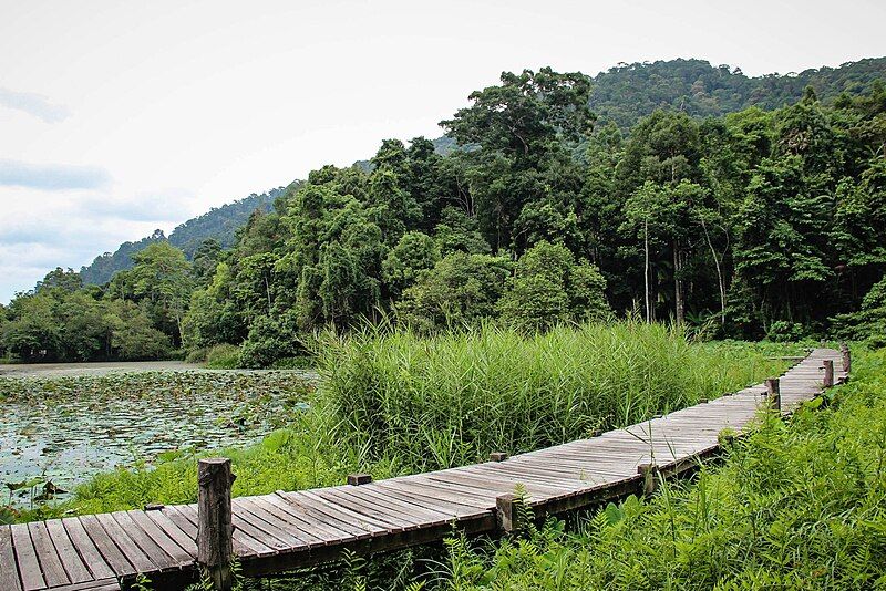 File:สะพานไม้ชมบึงอุทยานแห่งชาติทะเลบัน.jpg