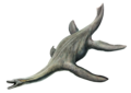 Plesiosaurus dolichodeirus