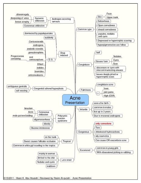 File:Acne Presentation.pdf