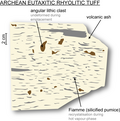 Archean felsic volcanic rock containing fiamme structure