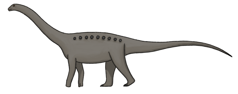 File:Bravasaurus reconstruction.png