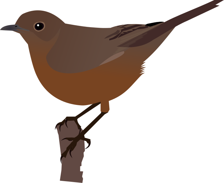 File:Brown Rock Chat.svg