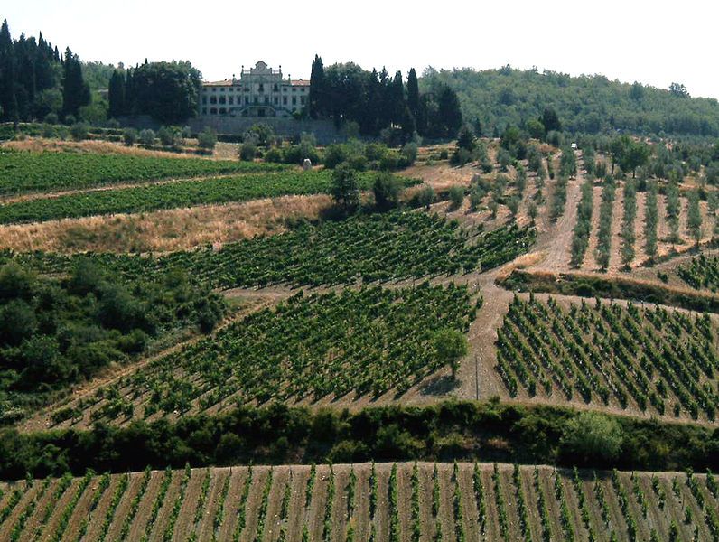 File:Chianti-colline2-2.jpg