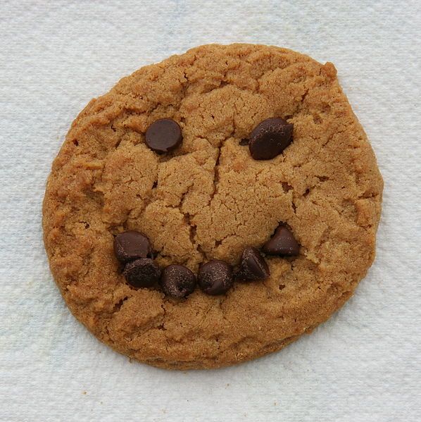 File:ChocolateChipSmile.jpg