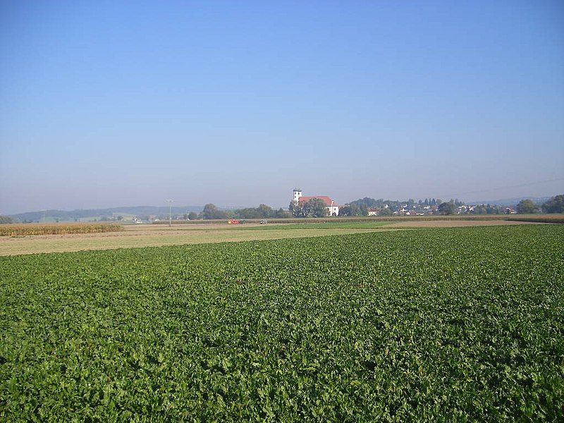 File:D-SR-Oberalteich.JPG