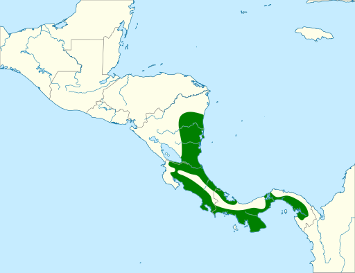 File:Euphonia luteicapilla map.svg