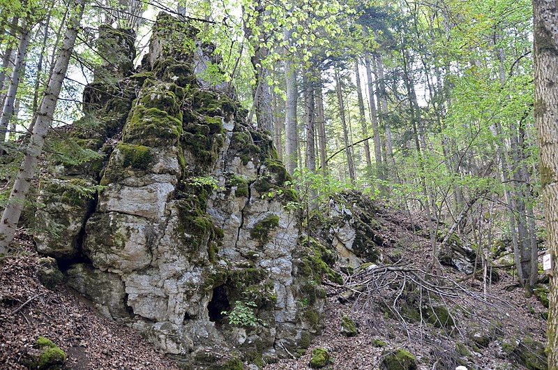 File:Felsenmeer Heersberg (Albstadt-Laufen).jpg