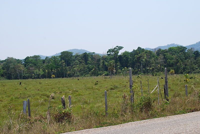 File:FieldIntersectionCorozal.JPG