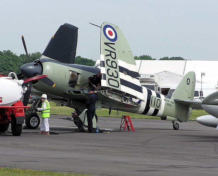 File:Hawker.sea.fury.folded.arp.jpg