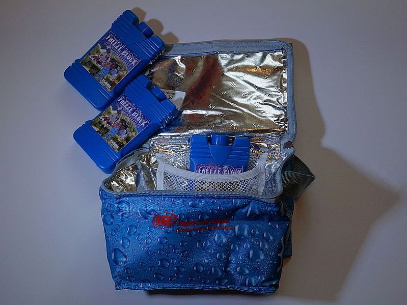 File:Ice-packs 2.JPG