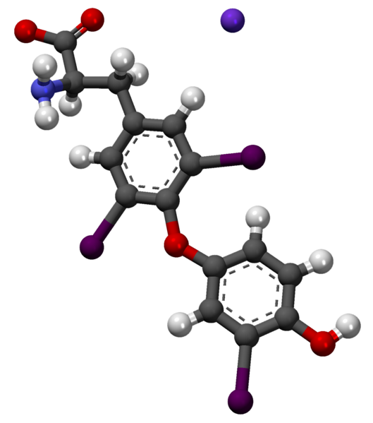 File:Liotironina sódica3D.png