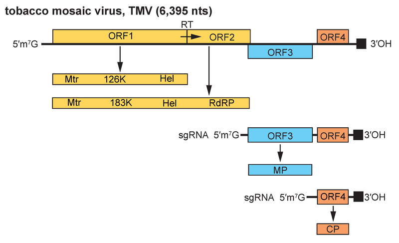 File:OPSR.Virga.Fig17.v4.png