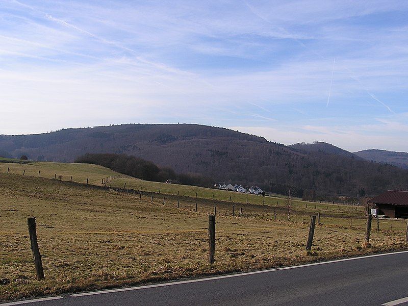 File:Pferdskopf TS Berg.jpg