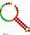 CRISPR-DR5: Secondary structure taken from the Rfam database. Family RF011318.