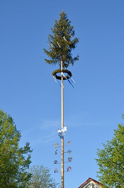 File:Tieringen Maibaum 2022.jpg