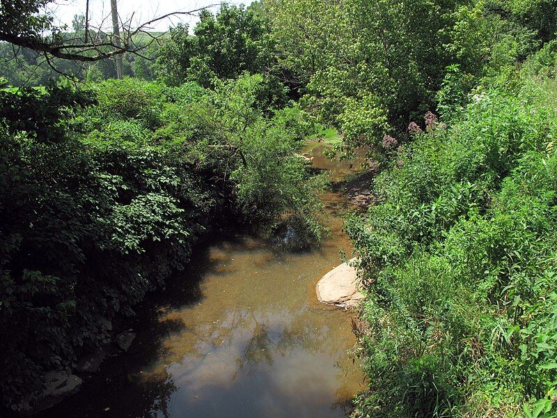 File:Tygart Creek WV.jpg