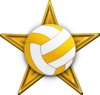 The Volleyball Barnstar