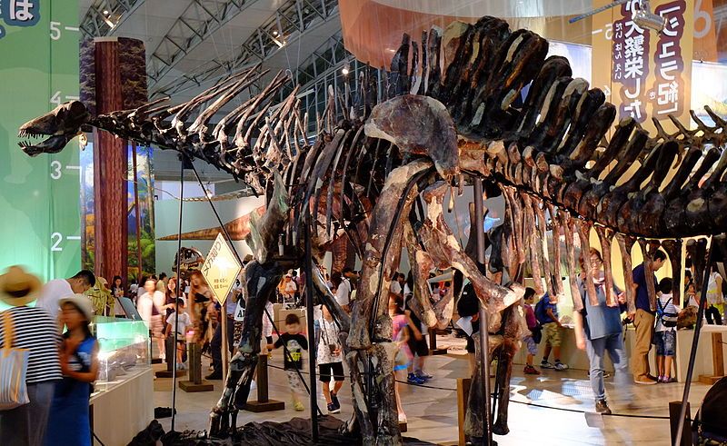 File:Amargasaurus behind.jpg