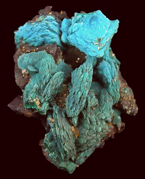 File:Azurite-Chrysocolla-Malachite-tuc1032a.jpg