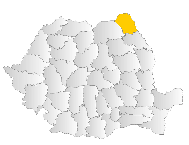 File:Botosani.svg