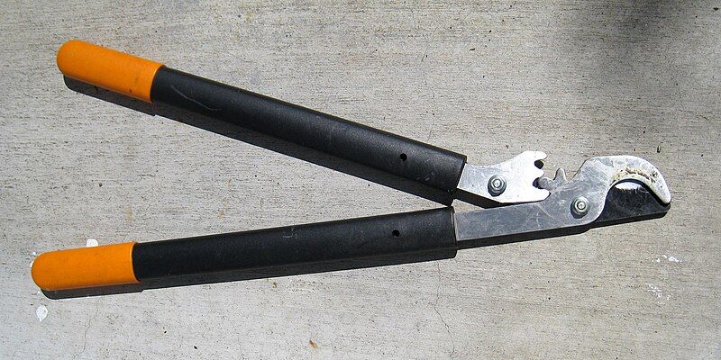 File:Bypass loppers pruners.jpg